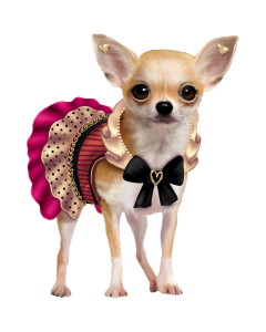 a chihuahua in a dress